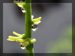 Unser Gartenhäusschen..