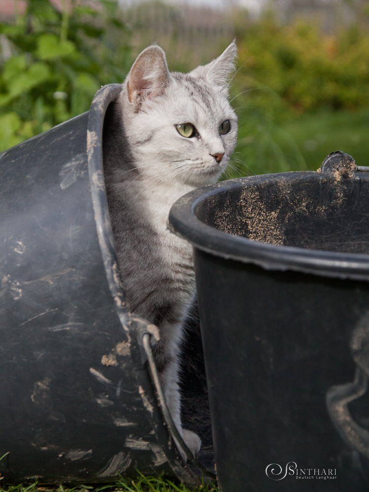 Unser Gartenhelfer