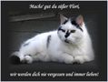 Unser geliebter Kater Flori hat uns für immer verlassen. by Astrid Wiezorek