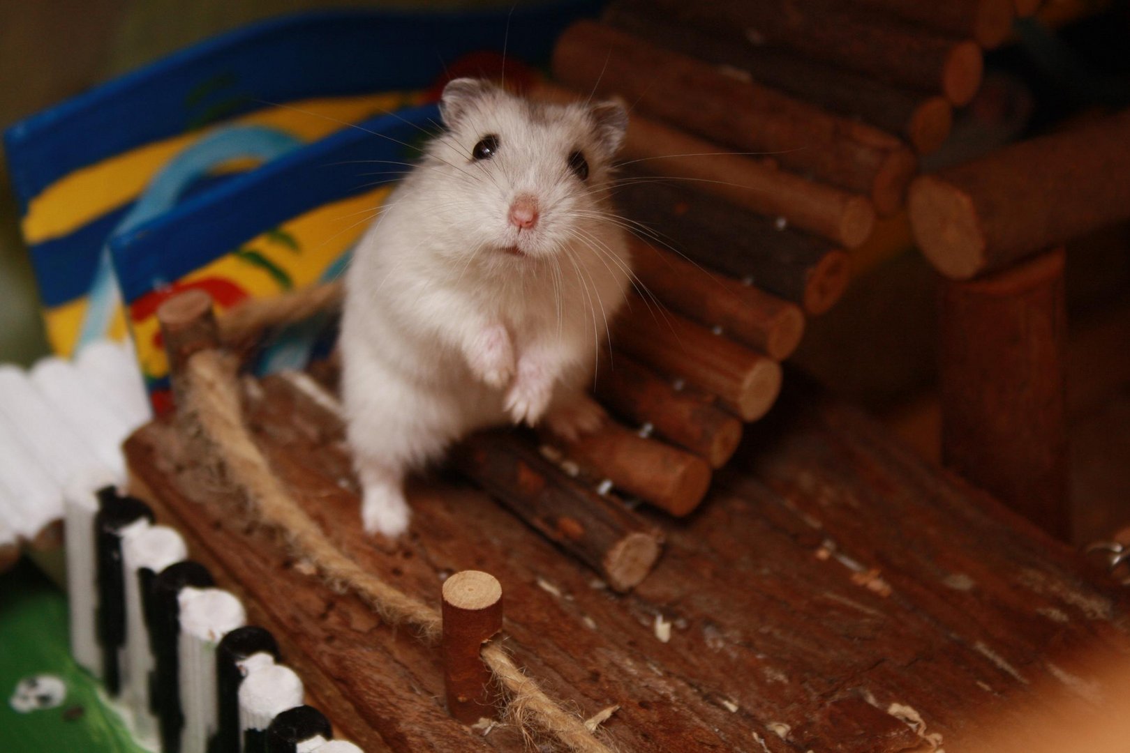 unser hamster stitch