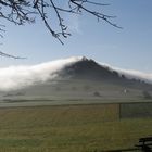 unser Hausber, der hohe Karpfen im Krs. Tuttlingen im Morgennebel