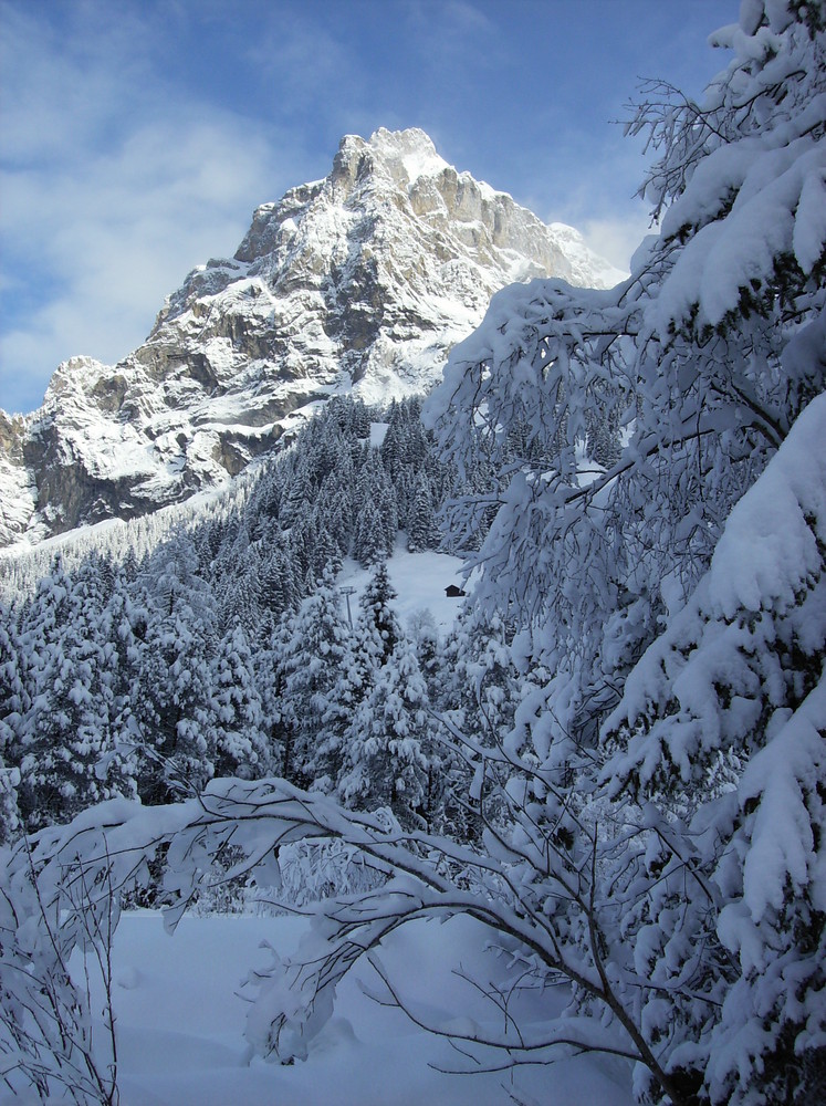 unser Hausberg - der "Bire"!