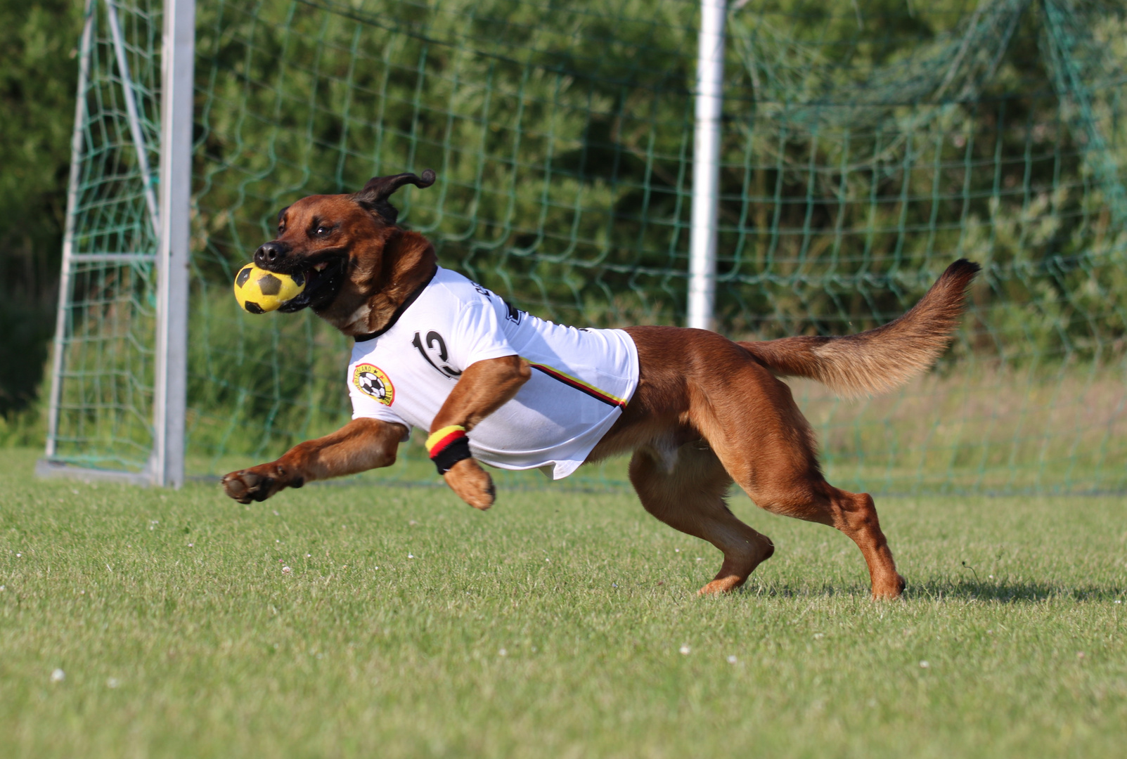 Unser Held der letzten WM