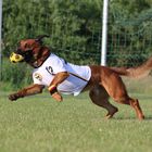 Unser Held der letzten WM