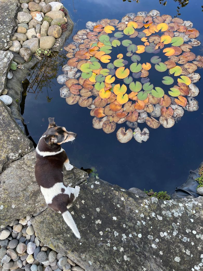 Unser Herbst