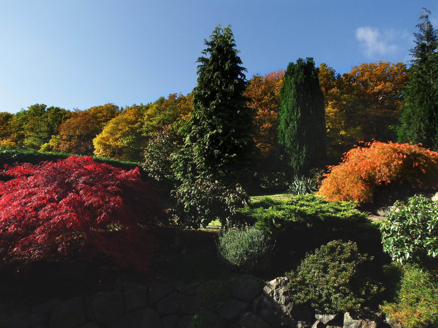 unser Herbstgarten