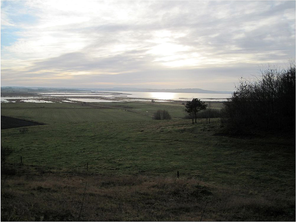 Unser Hjarbæk Fjord