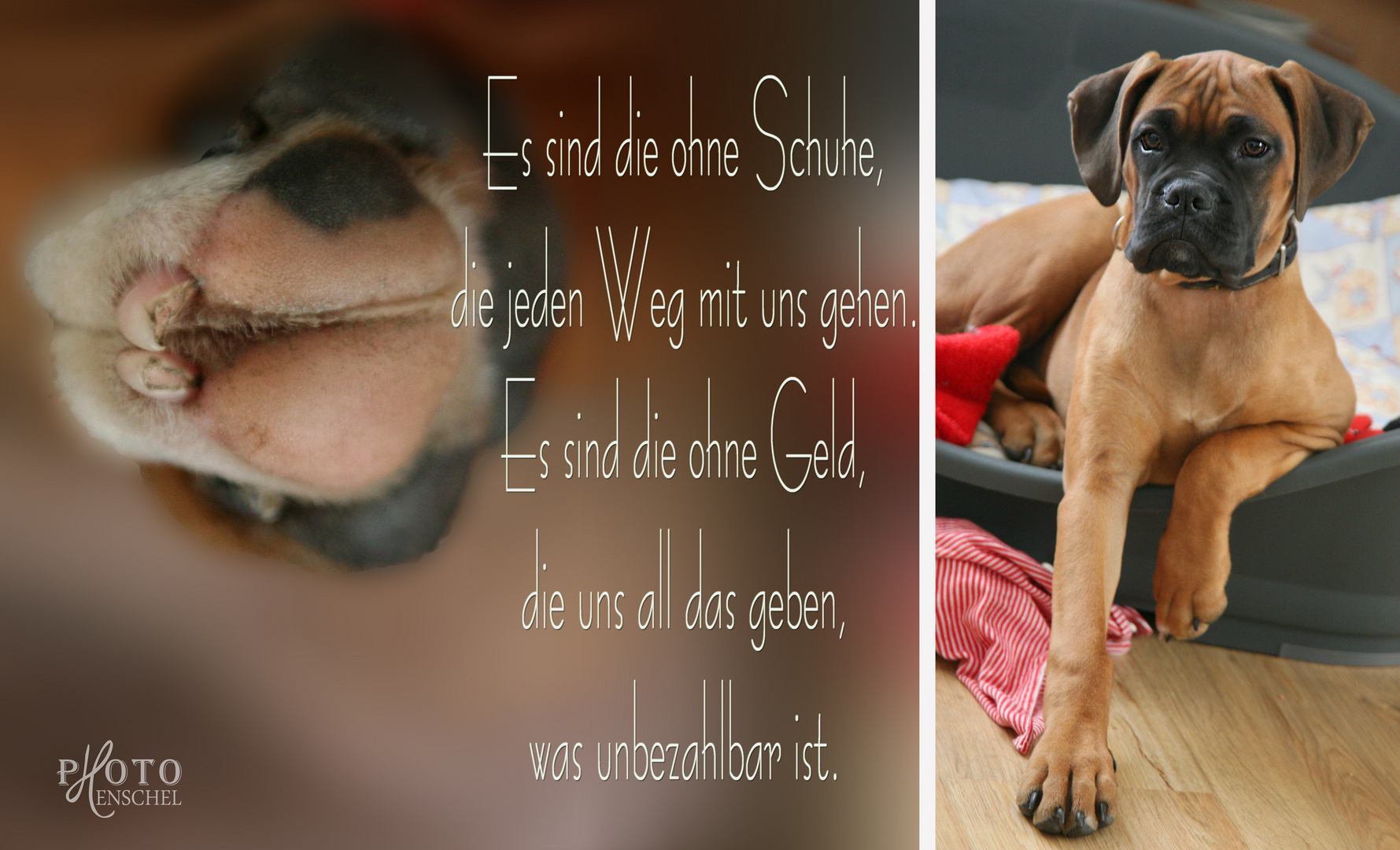 unser Hund