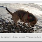 Unser Hund Bonny ...