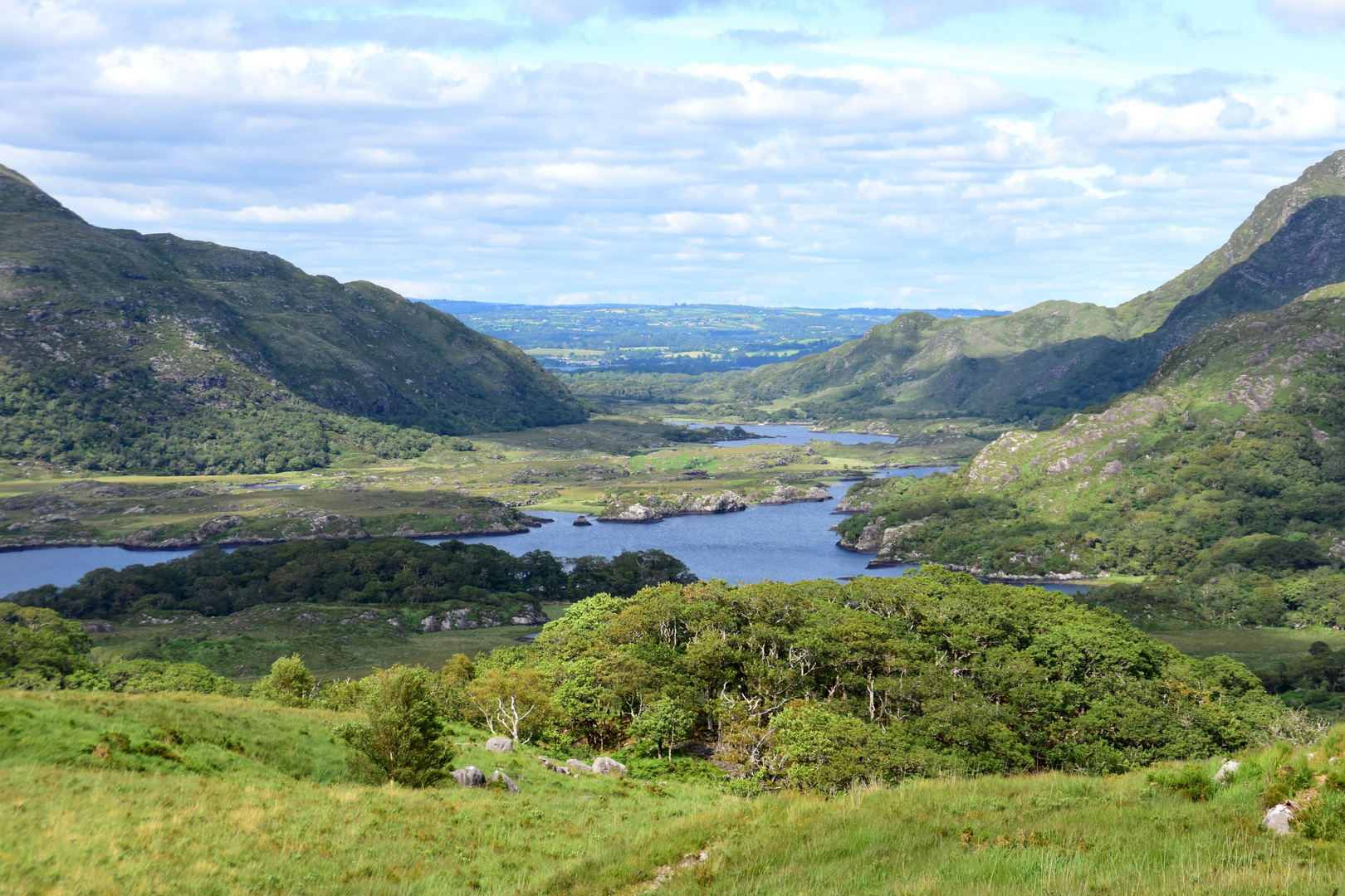 Unser Irland-Rundreise: Blick auf Ladies View - ist das nicht herrlich?