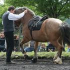 unser Kaltblüter "Rusty" auf dem Tag der offenen Tür Christi Himmelfahrt