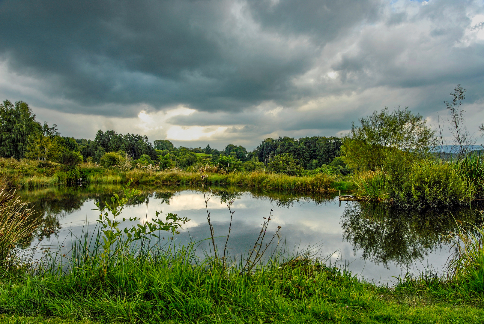 Unser Karpfenteich 02