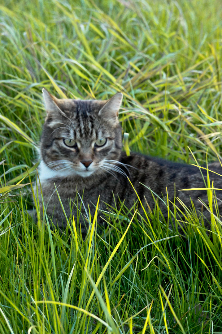 Unser kleiner Schatz