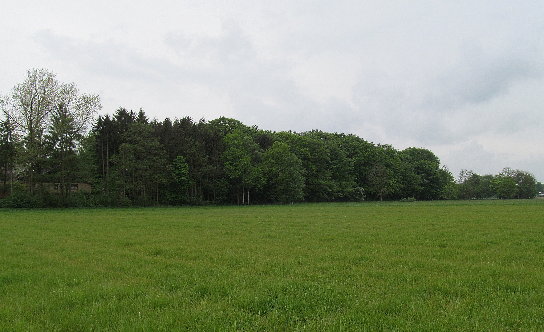 unser kleiner Wald von hinten