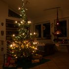 unser kleiner Weihnachtsbaum 2018