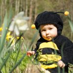 Unser kleines Bienchen Willy