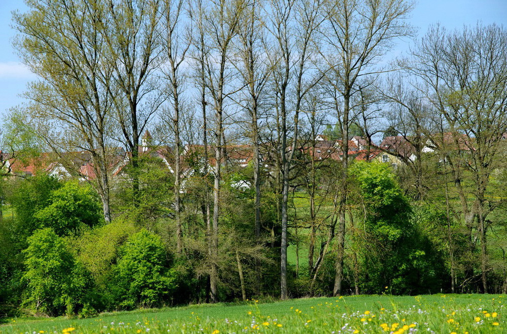 Unser kleines Dorf