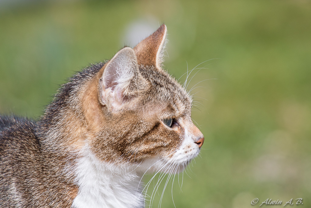 Unser Kleinster in der Sonne