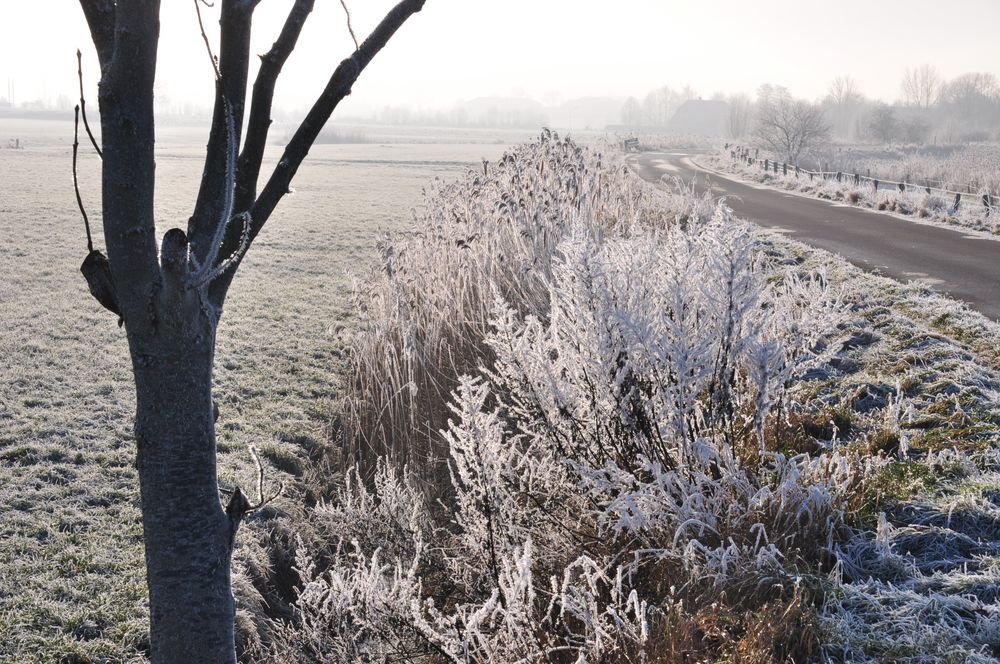 unser kurzer Winter