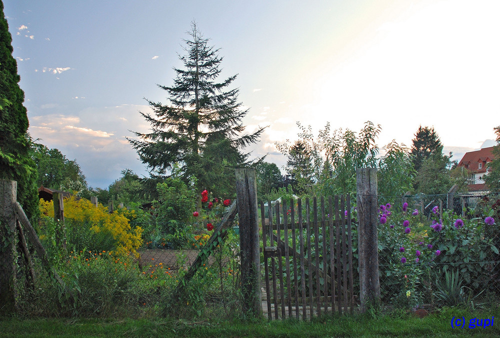 Unser Landgarten im August