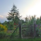 Unser Landgarten im August