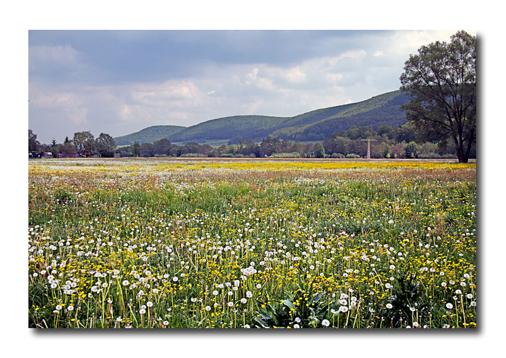 unser landkreis (1) ...