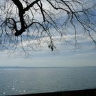 Unser lieber Bodensee ...