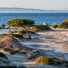 Unser Lieblingsstrand