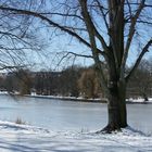 Unser Lietzensee... (Berlin)