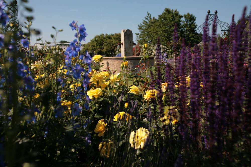 Unser Märchenrosengarten