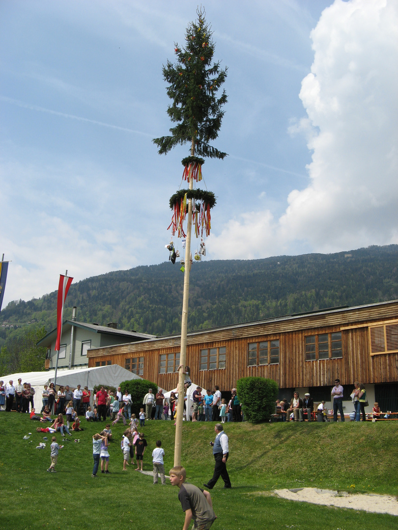 bild maibaum kostenlos