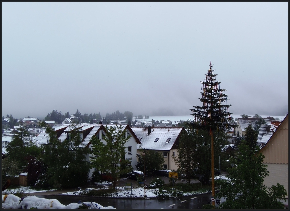 Unser Maibaum im Schnee...