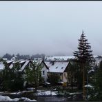 Unser Maibaum im Schnee...