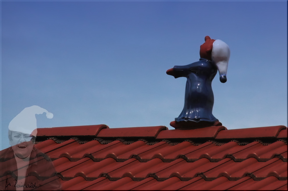 Unser Michel auf dem Dach...