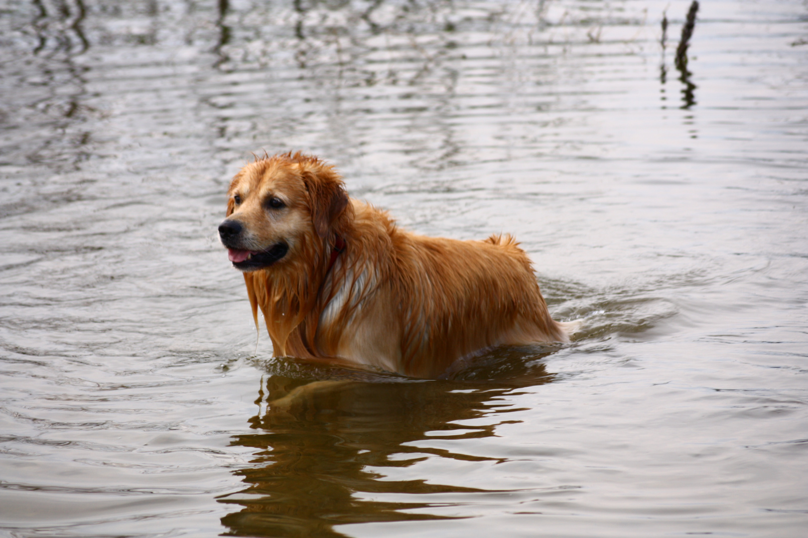 unser Model beim Baden