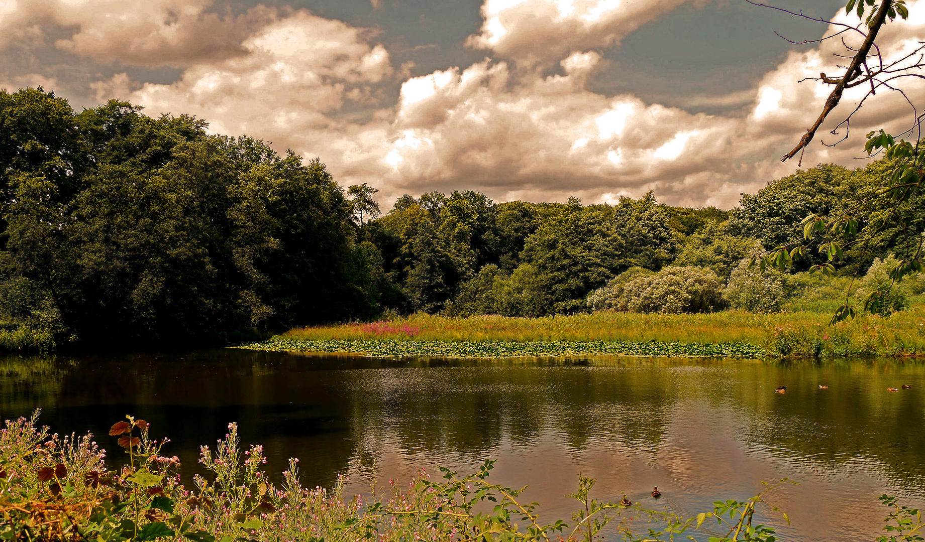 Unser Mühlenteich.