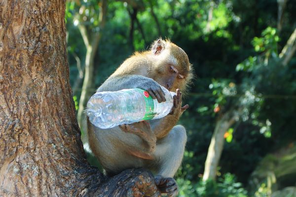 Unser Müll - Ihr Spielzeug