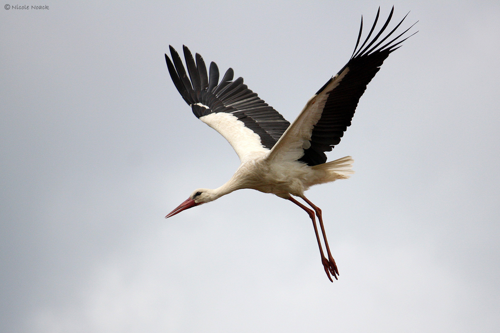 Unser 'Nachbar' beim Abflug