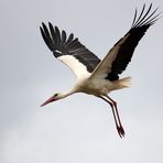 Unser 'Nachbar' beim Abflug