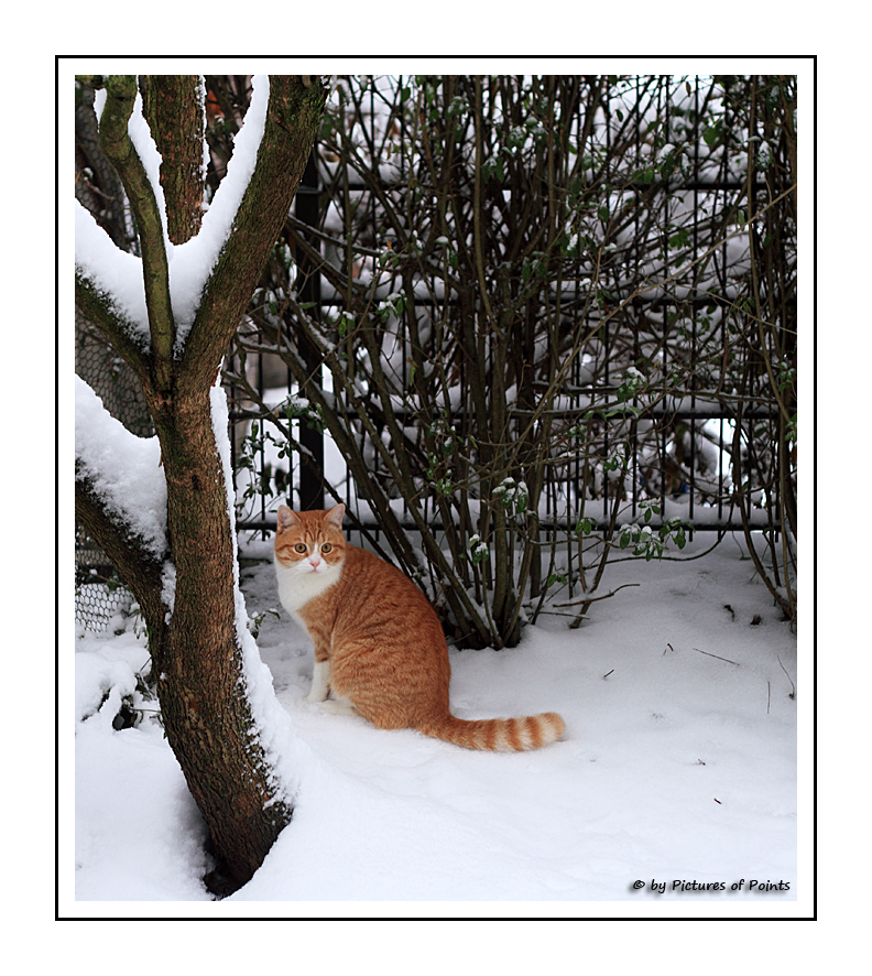 Unser Nachbar Jerry auf "Schneestreife"