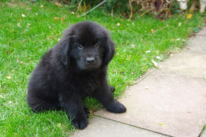 Unser Nachwuchs Bruno