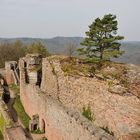 Unser nächstes Ziel, führte uns von hier auf die Ruine Ramburg, sie ist rechts im Bildhintergrund..