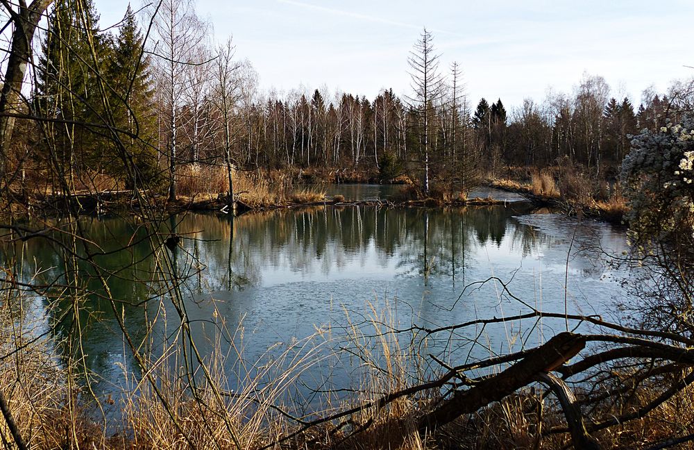 Unser Naturschutzgebiet Foto & Bild landschaft, lebensräume, bach