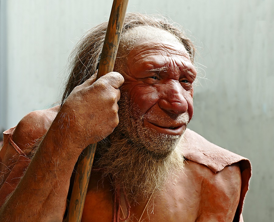 "Unser" Neandertaler