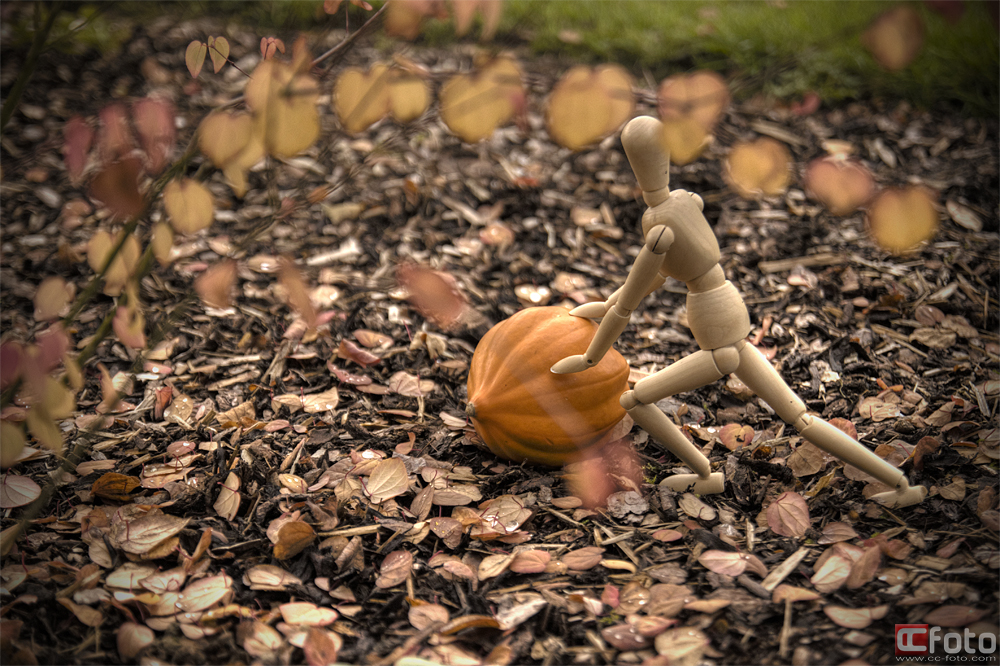 Unser neuer Gartenhelfer