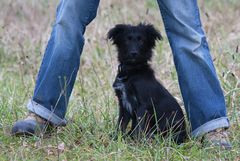 unser Neuer, Merlin der Italiener (2)