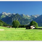 Unser Oberallgäu