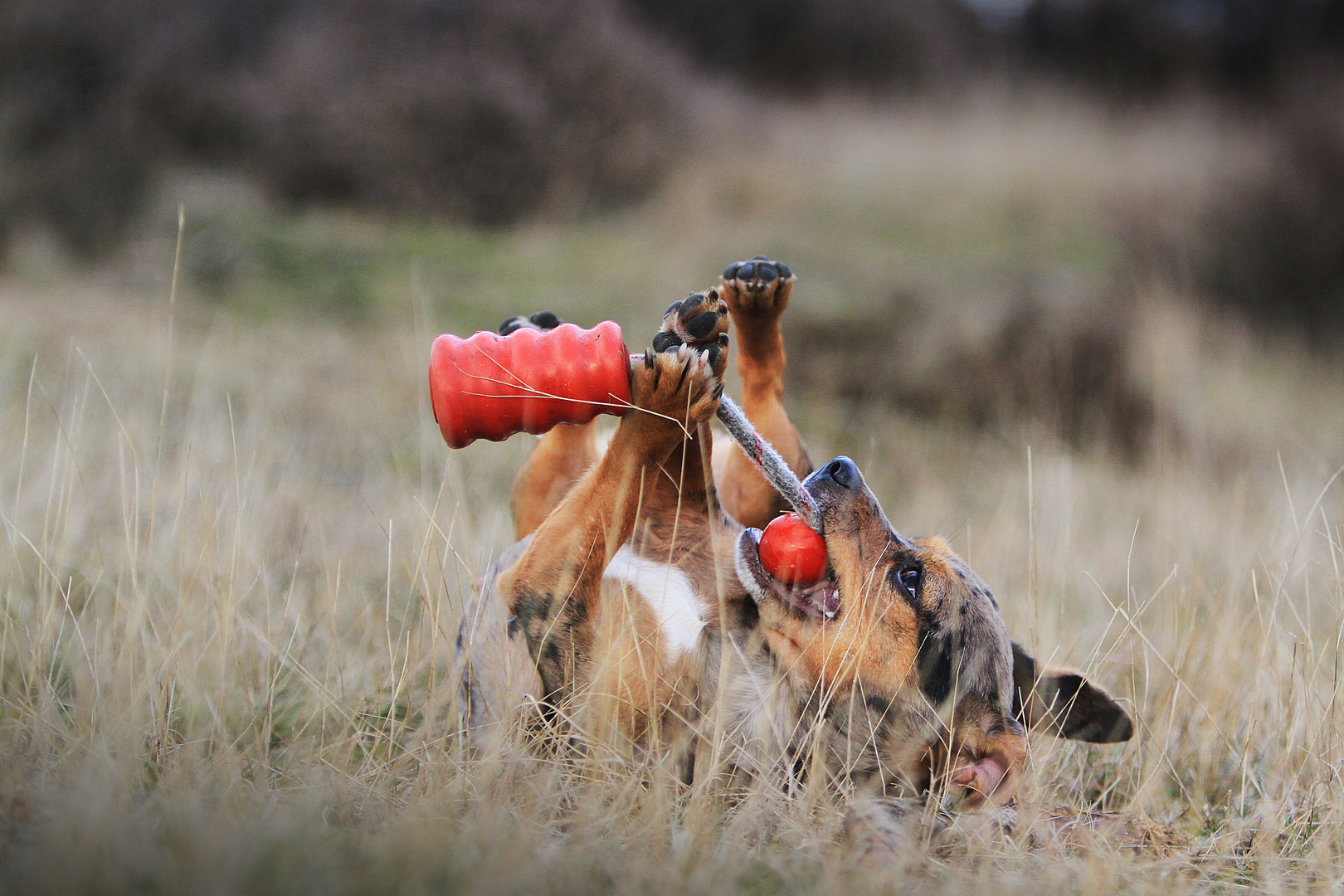 Unser Omma hat immer gesacht: