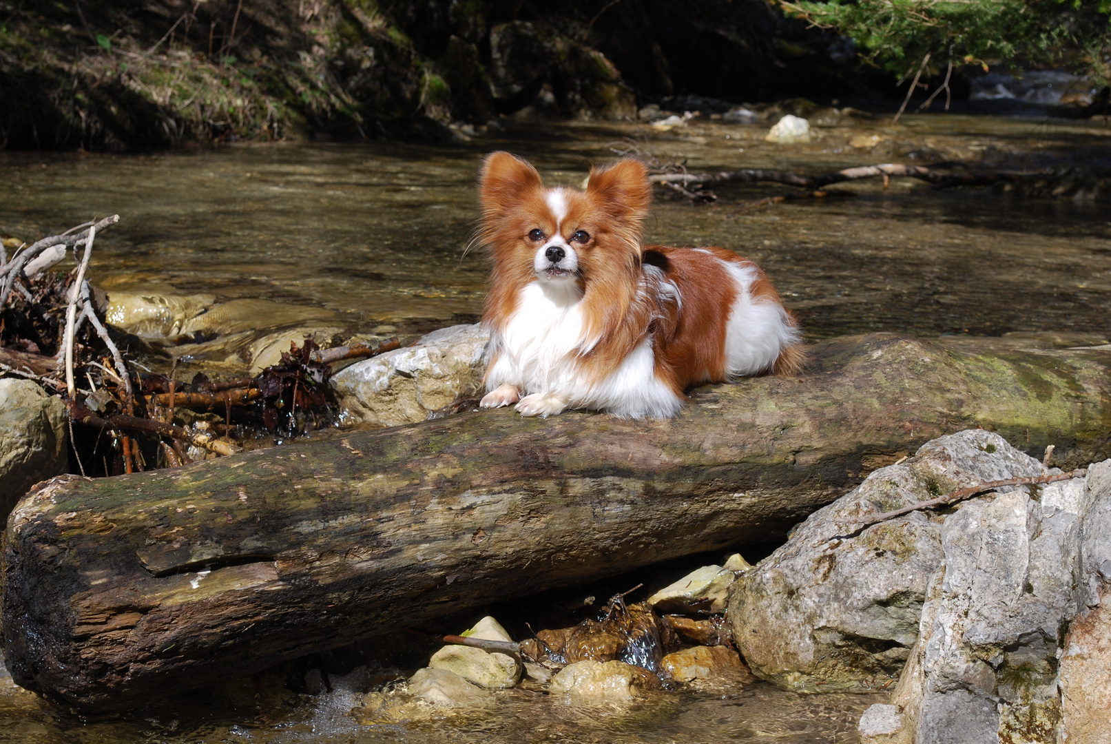 Unser Opa am Wasser