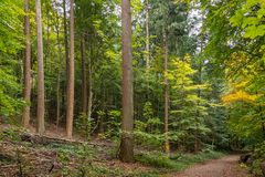 unser Radweg am Dieksee entlang II - Holsteinische Schweiz